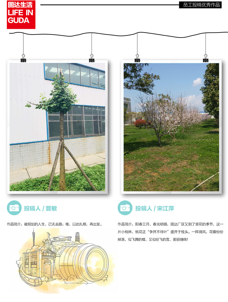 草莓APP视频在线观看季刊第五期